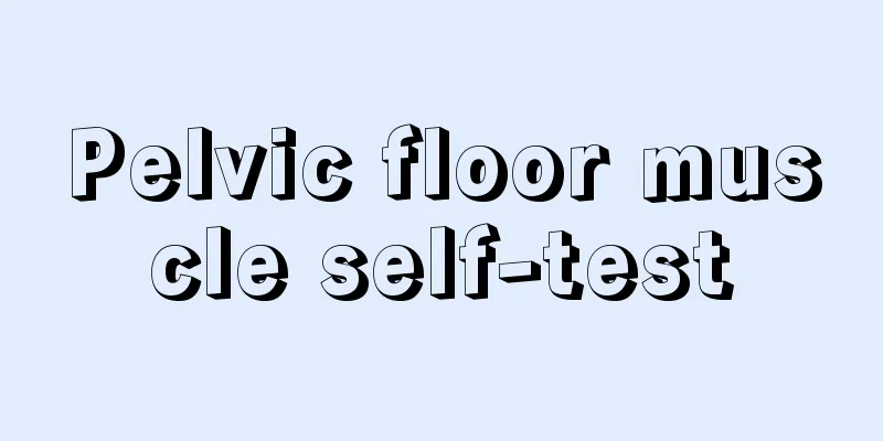 Pelvic floor muscle self-test