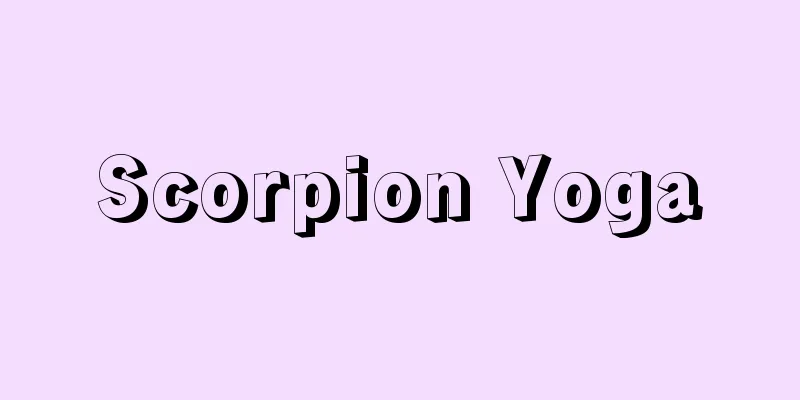 Scorpion Yoga