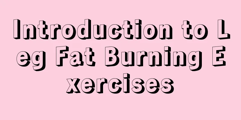 Introduction to Leg Fat Burning Exercises