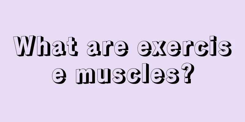 What are exercise muscles?