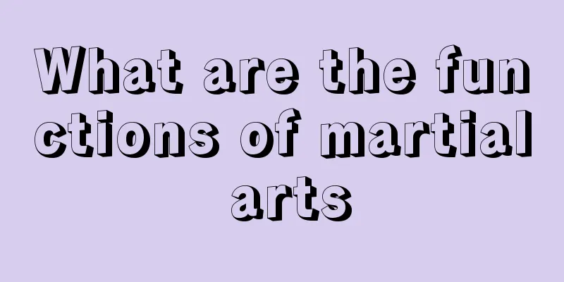What are the functions of martial arts