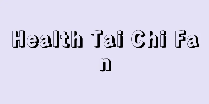 Health Tai Chi Fan