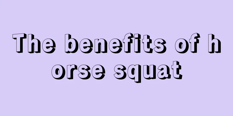 The benefits of horse squat